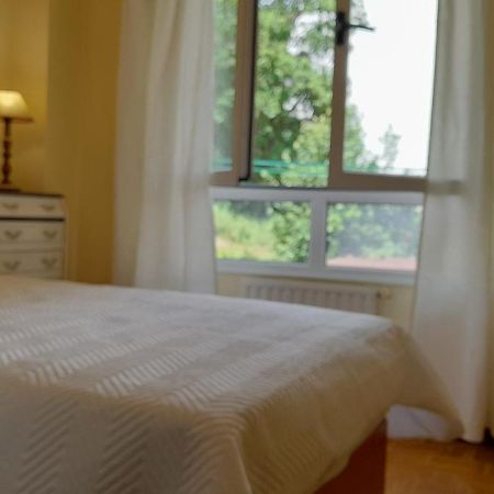 El Retalin Apartment Pola de Lena Luaran gambar